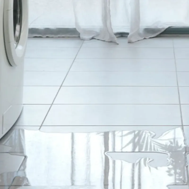Appliance Leak Cleanup in Walla Walla, WA