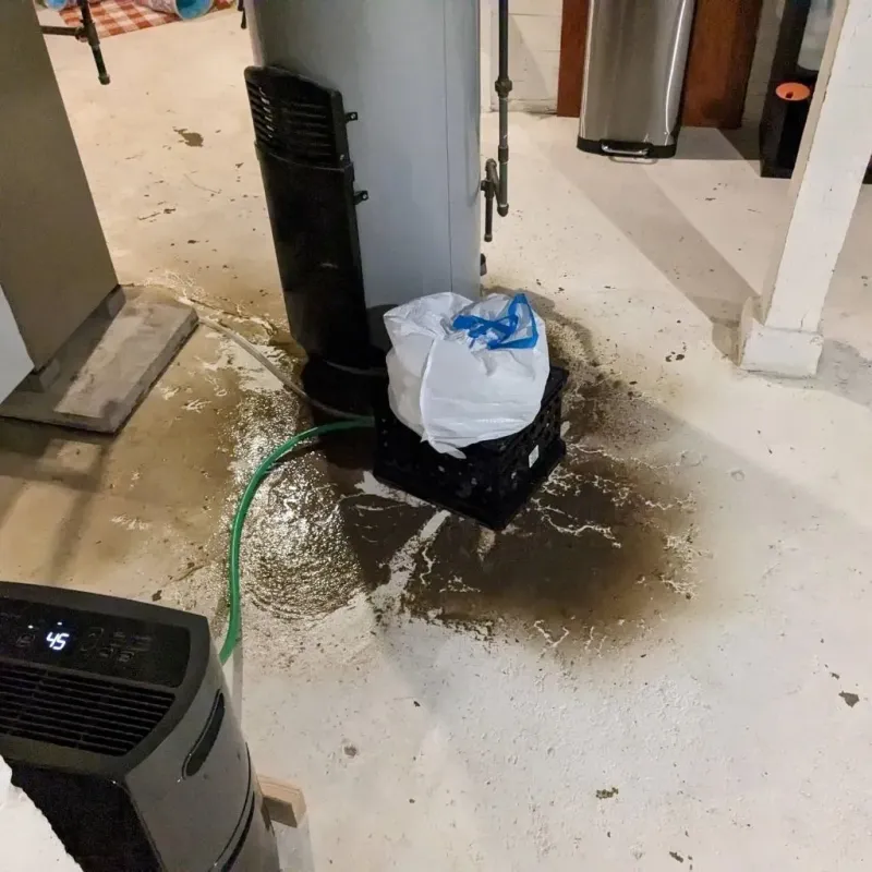 Sewage Backup Cleanup Service in Walla Walla, WA